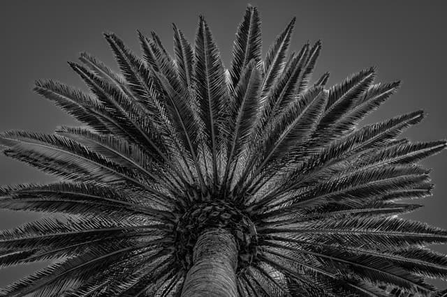 Перфекционизм: почему он мешает вам жить и как от него избавиться